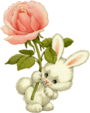 a bunny with a rose